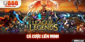 Cá Cược Liên Minh