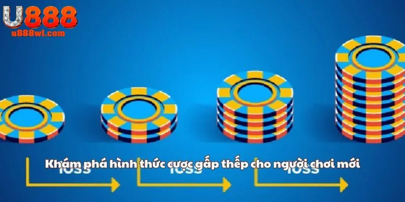 Khám phá hình thức cược gấp thếp cho người chơi mới
