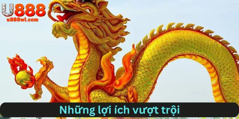 Những lợi ích vượt trội từ rồng bạch kim